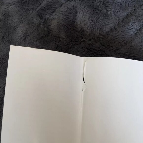 Cast No Shadow: The Life of The American Spy Who Changed the Course Of WW II HC - Picture 12 of 13